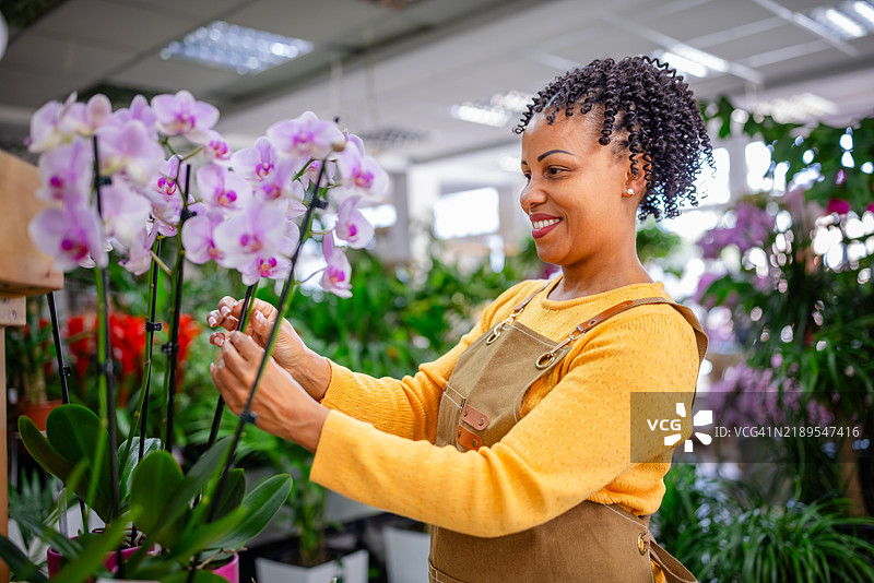 微笑的园丁在郁郁葱葱的室内植物店里照料兰花图片素材