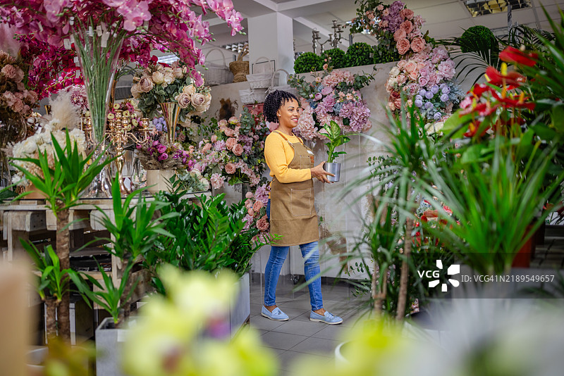 女性花店老板在色彩斑斓的花店内整理盆栽植物图片素材
