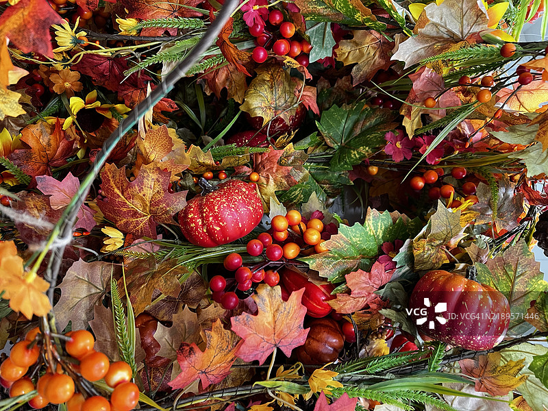 秋季浆果的选择，叶子特写图片素材