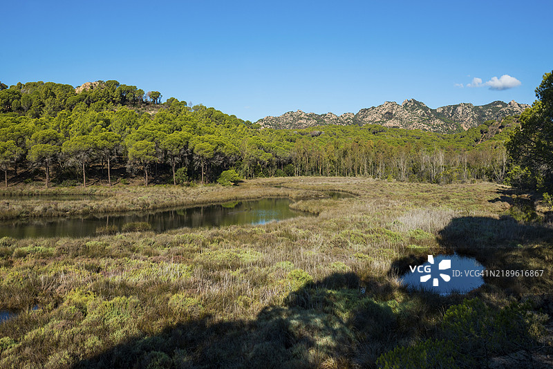 比德罗萨自然保护区，奥罗塞伊，努奥罗省，撒丁岛东海岸，意大利，欧洲图片素材
