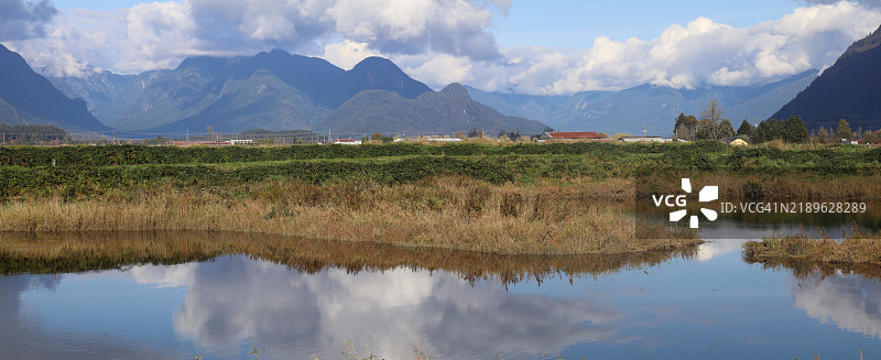 沼泽之间池塘的完美宁静图片素材