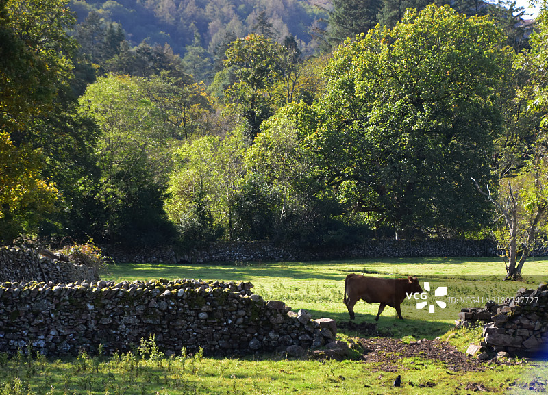风景如画的埃斯克代尔图片素材