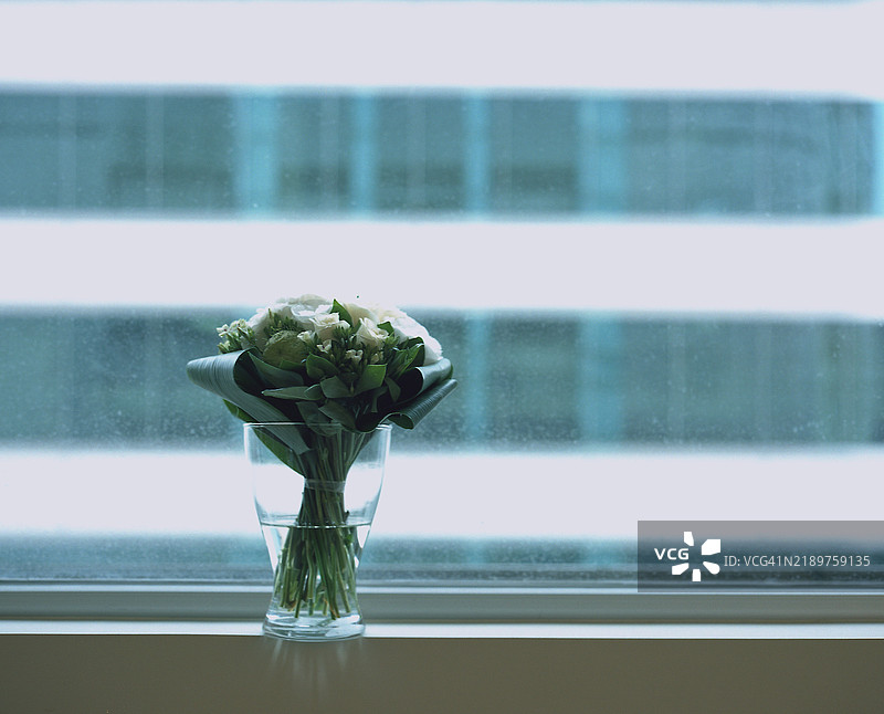 窗后瓶中的花朵图片素材