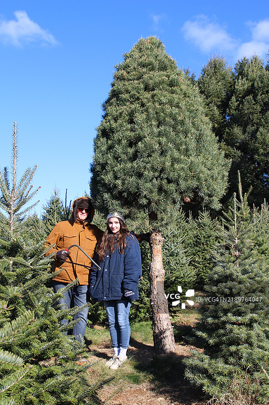 一位青少年女孩和她的父亲在一棵形状搞笑的圣诞树前摆出顽皮的肖像，手里拿着一把手锯。女孩正在农场帮助父亲挑选圣诞树。图片素材