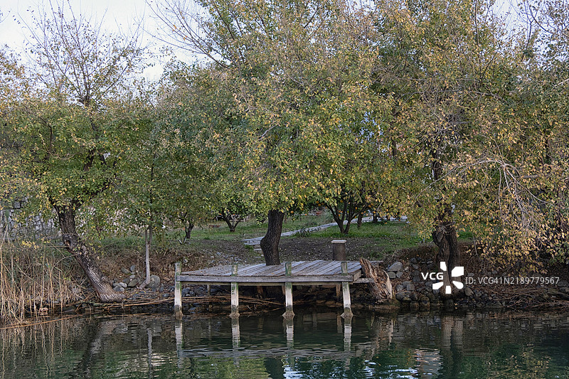 达利扬树下的木栈道。图片素材