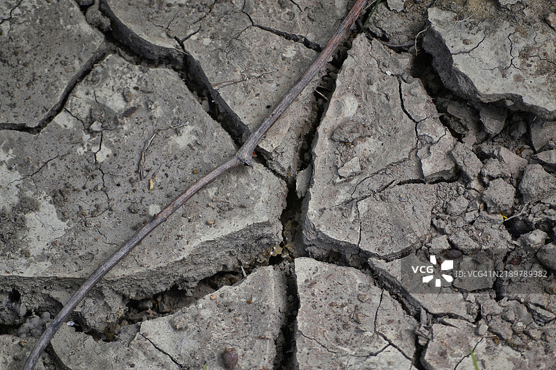 干旱干裂的泥土特写图片素材