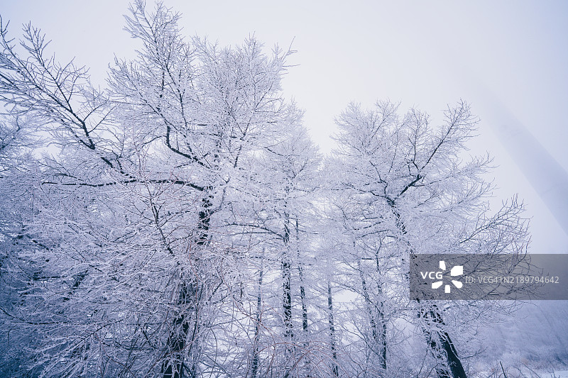 韩国，江原道，旌善郡，太极山，露营，背包旅行图片素材