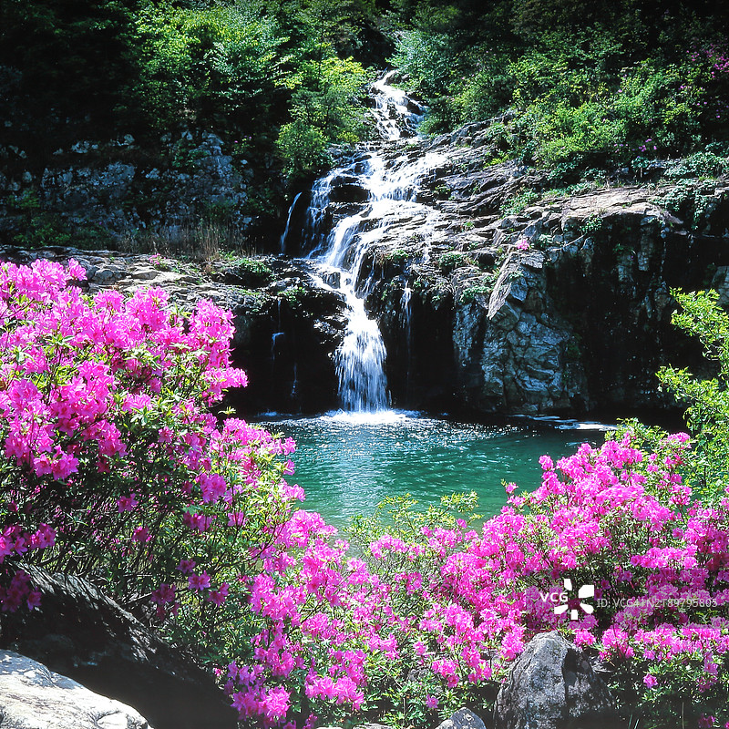 明知谷永逝瀑布图片素材