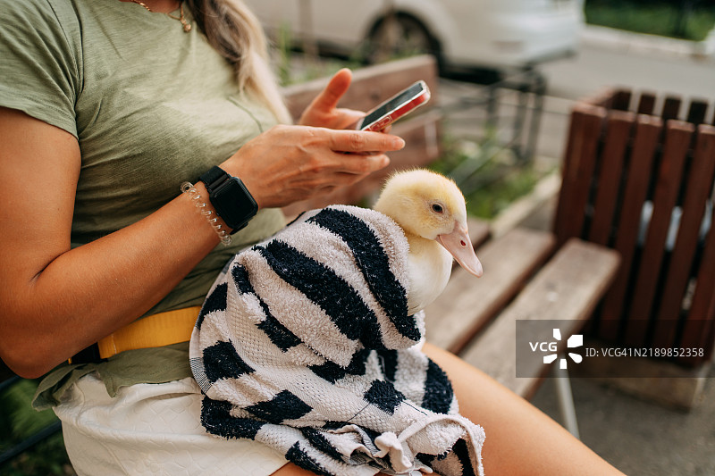 年轻女性坐在花园的长椅上，手里拿着手机，怀里抱着一只用毛巾包裹的小鸭子。图片素材
