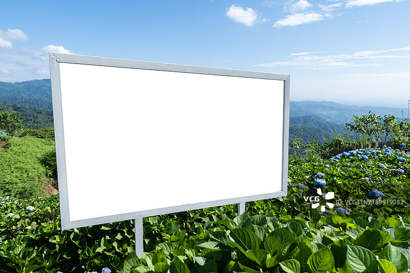 空白广告牌在花田的山上，背景是柔和的蓝天，保存剪切路径。图片素材
