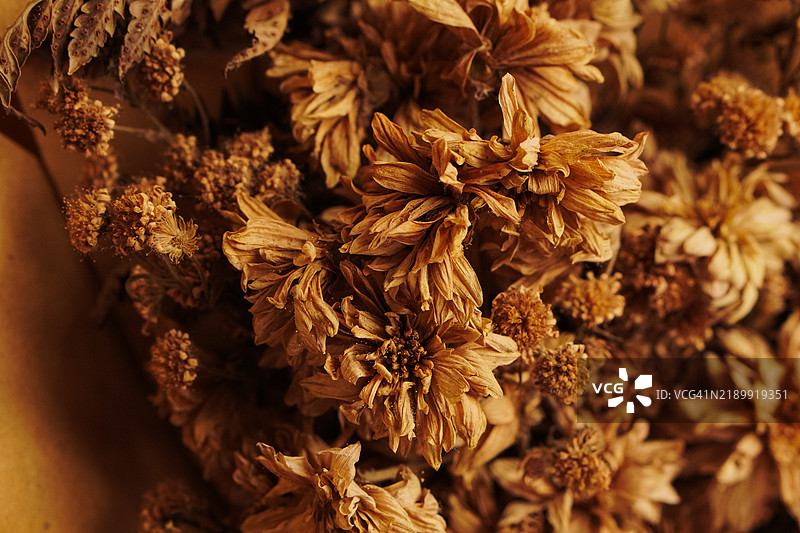 温暖大地色调的乡村干花特写图片素材