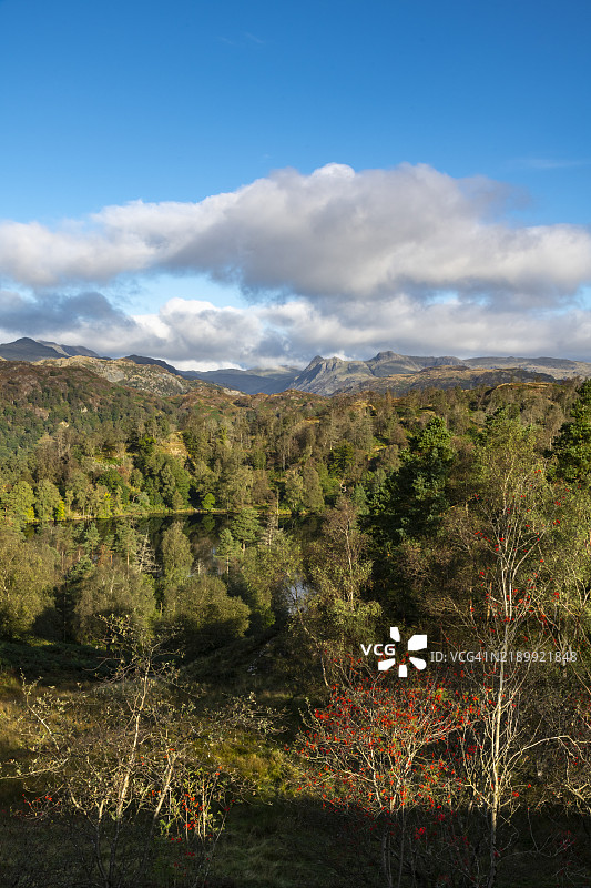 塔恩霍斯，湖区，坎布里亚，英格兰图片素材
