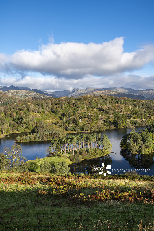 塔恩霍斯，湖区，坎布里亚，英格兰图片素材