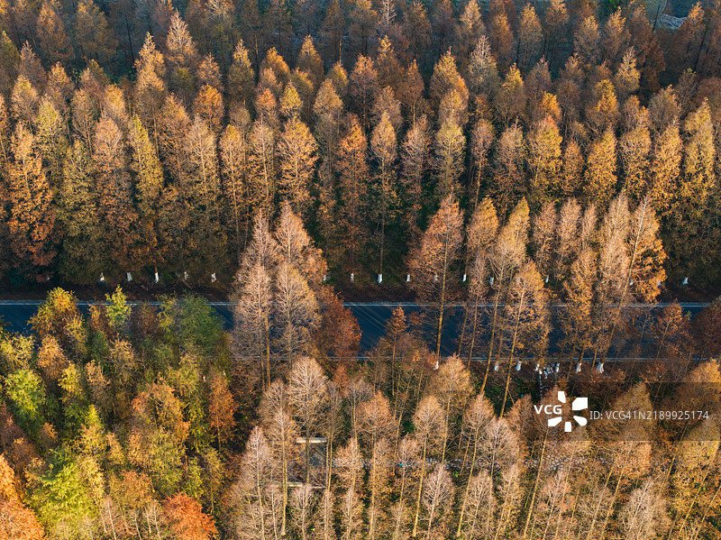 上海郊区的乡村景象图片素材