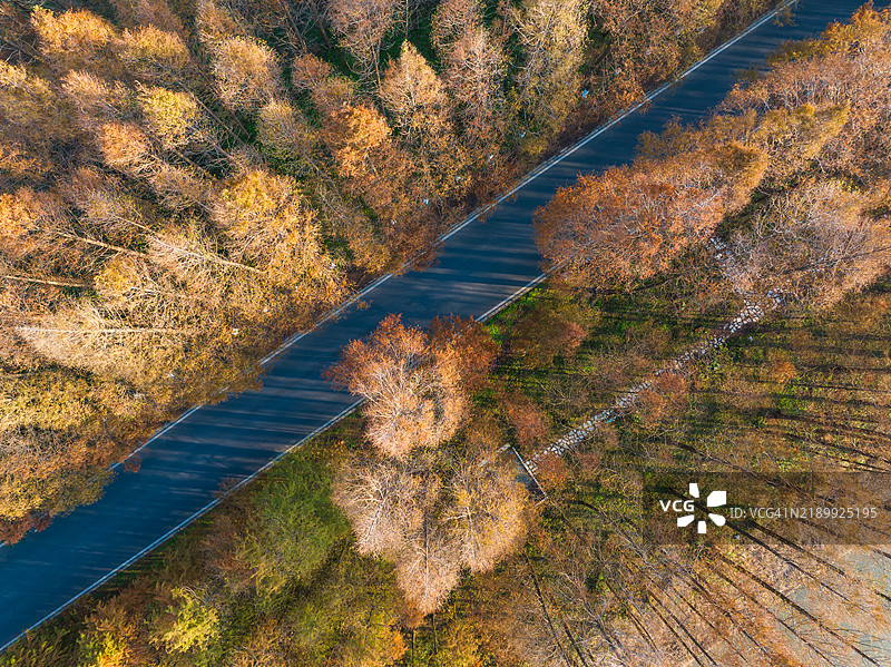 上海郊区的乡村风景图片素材