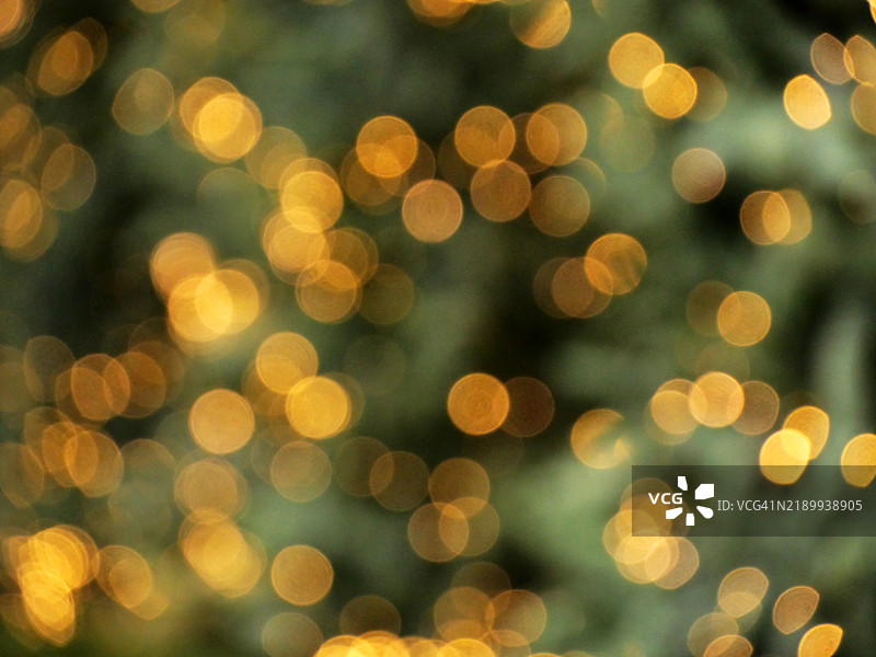 圣诞树上灯串的特写和模糊（散景效果）。图片素材