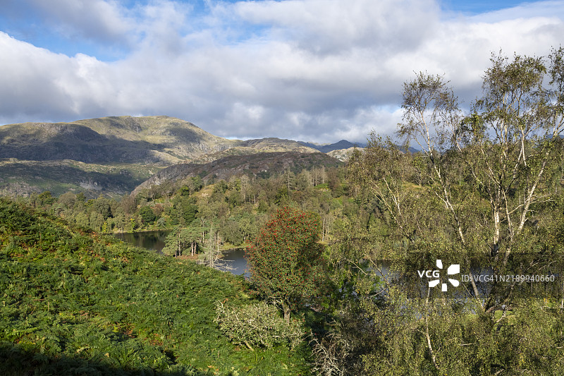 塔恩霍斯，湖区，坎布里亚，英格兰图片素材