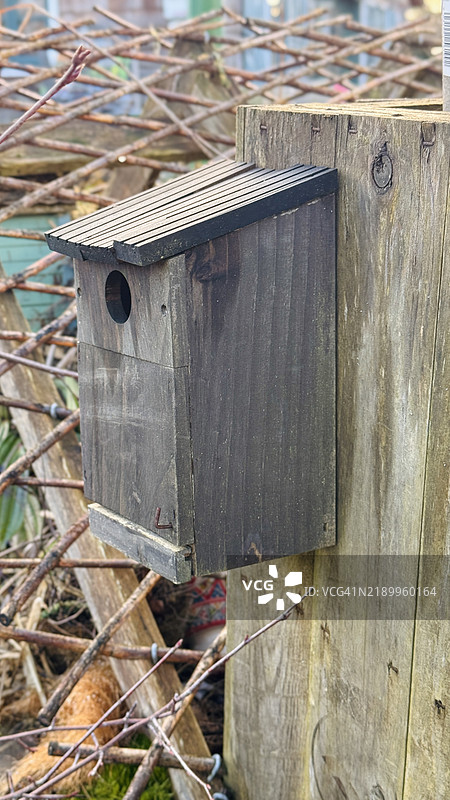木制鸟巢箱特写图片素材
