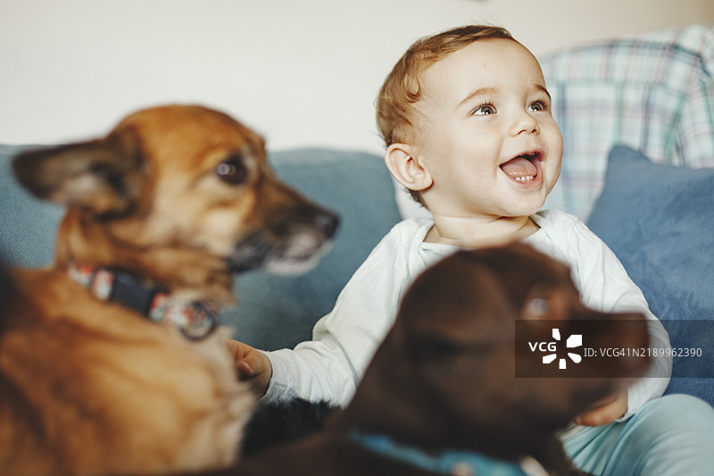 家里的小男孩和他的宠物狗图片素材