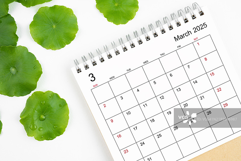 2025年桌面日历：三月日历用于规划日常工作和生活，背景为白色，点缀绿色叶子。图片素材