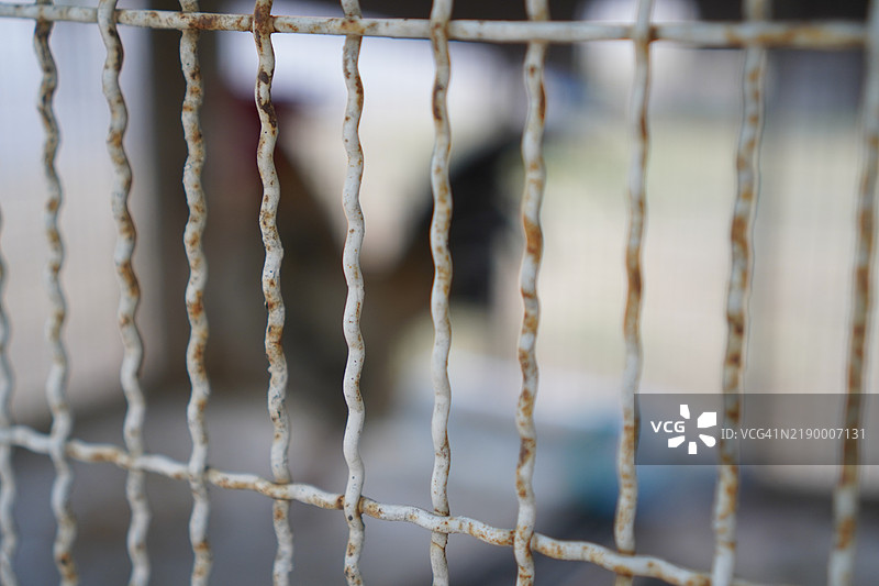 铁栏杆图片素材