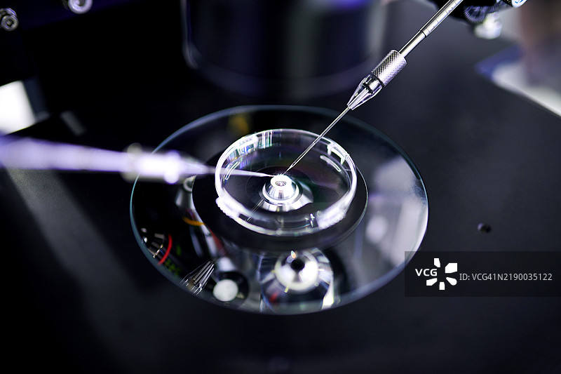 在培养皿上进行的微操控分析特写图片素材