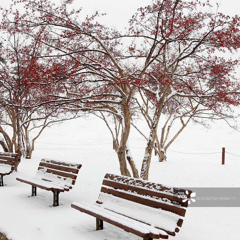 公园长椅上的雪图片素材
