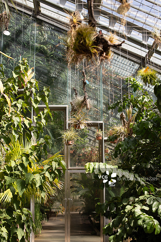 温室内部图片素材