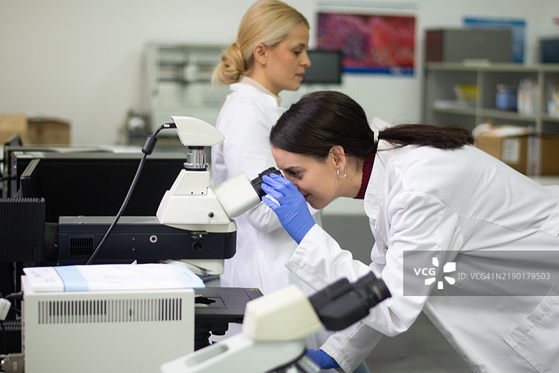 在实验室工作图片素材