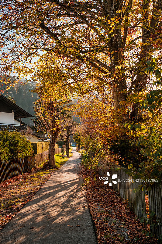 冬日的拥抱：楚格峰上的寒冷秋晨图片素材