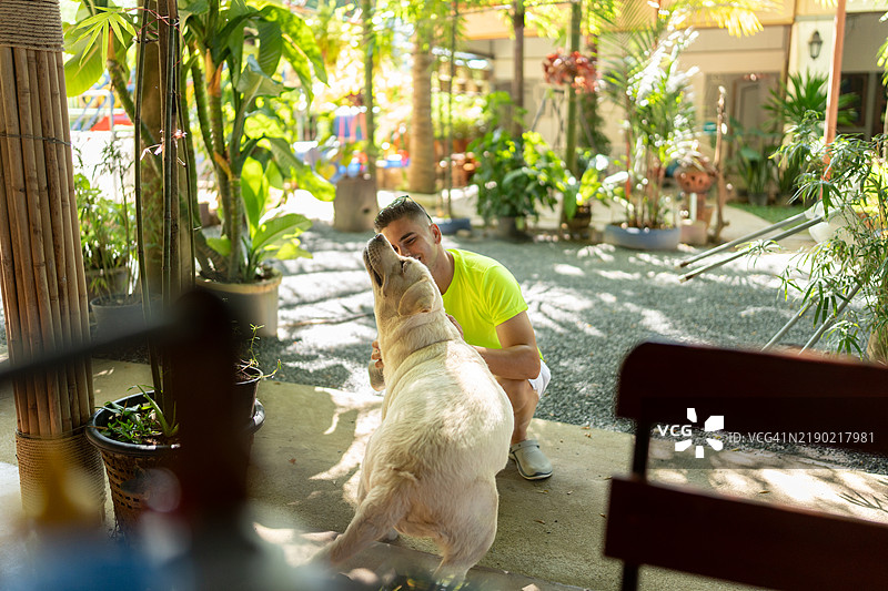 游客在热带花园中蹲下抚摸他的拉布拉多犬图片素材