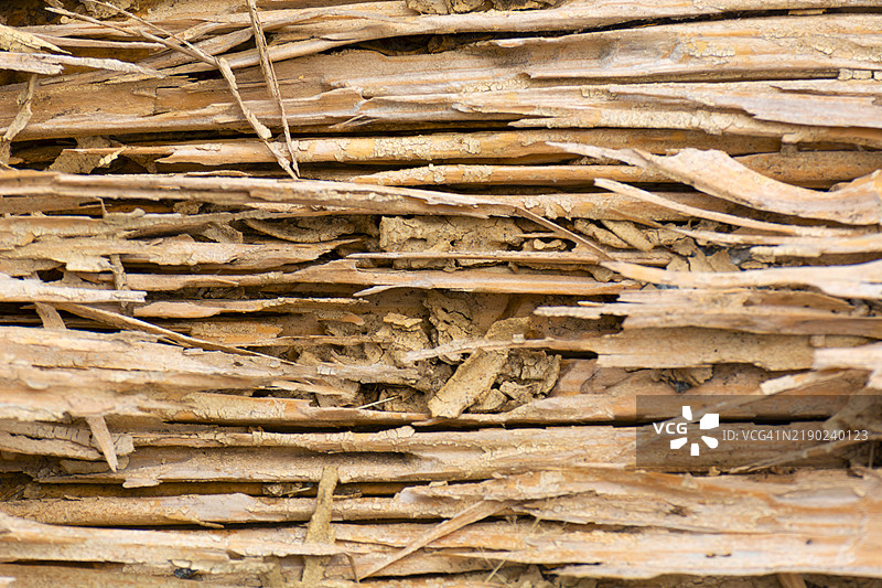 纸板波纹图案的横截面，作为背景和纹理，垂直排列图片素材