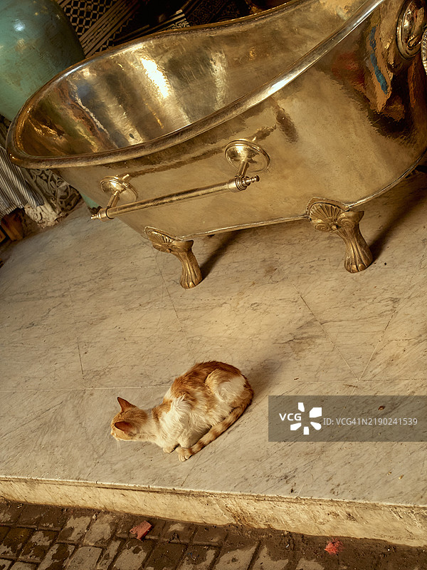 一只姜黄色和白色的猫坐在瓷砖地板上，旁边是一只带有装饰性脚的超大金色浴缸，房间里光线温暖，位于摩洛哥。图片素材
