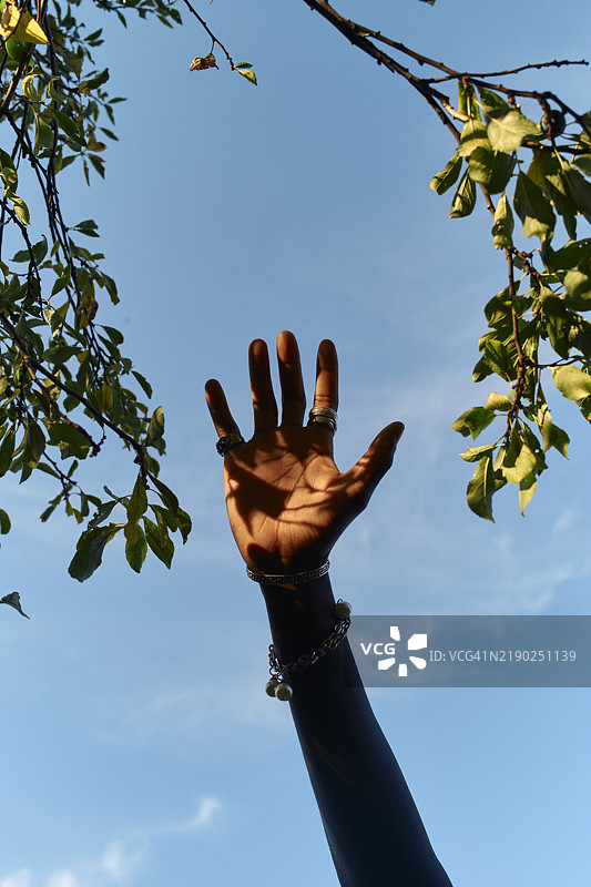 一只手伸向天空，树枝勾勒出清澈蓝天的轮廓。图片素材