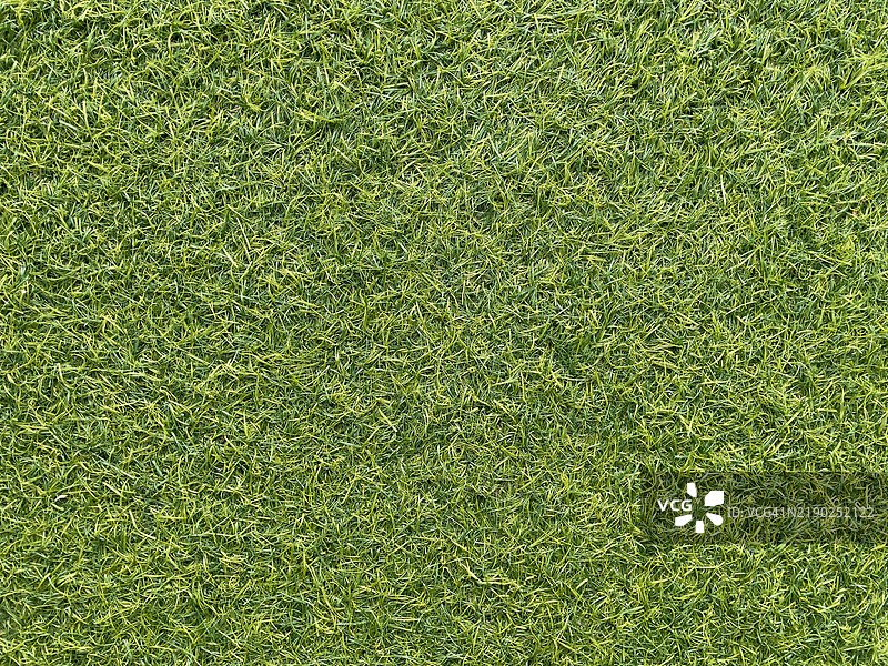 一片绿色的草地，铺着绿色的地毯图片素材