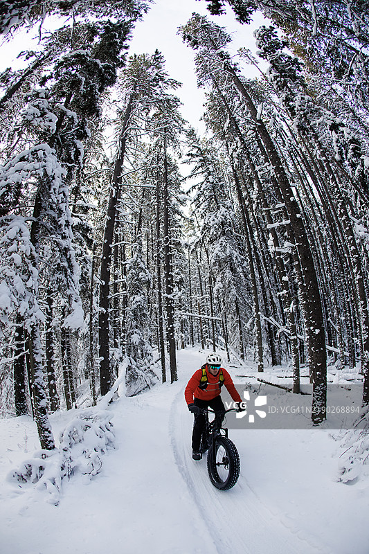 坎莫尔北欧中心冬季胖轮自行车骑行图片素材