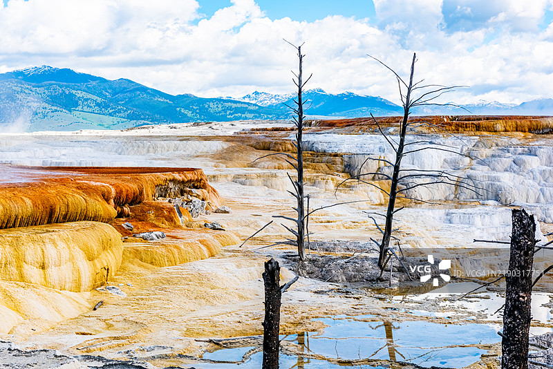 黄石国家公园的猛犸象露台小径、土丘泉和木星露台景观，怀俄明州，公园县，美国图片素材