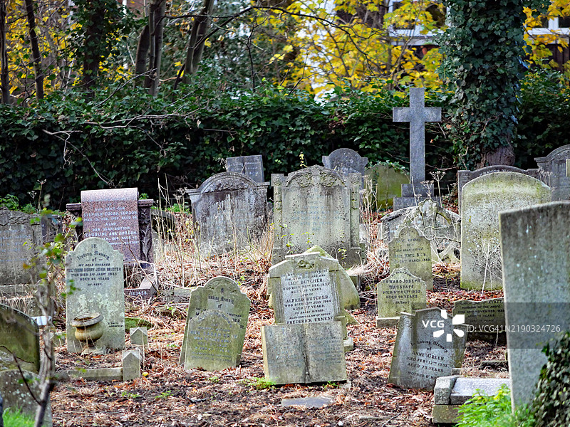 伦敦布朗普顿公墓内被遗弃和损坏的墓碑。没有人。图片素材