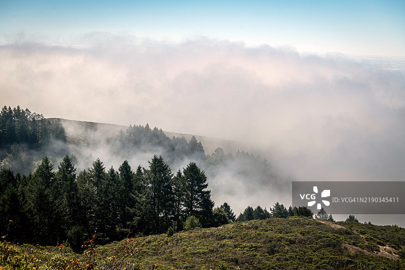 塔马尔派斯山上的低雾图片素材