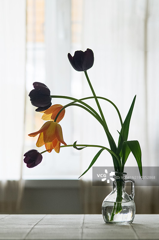 优雅的深色和橙色郁金香花束放在桌子上的玻璃花瓶中图片素材