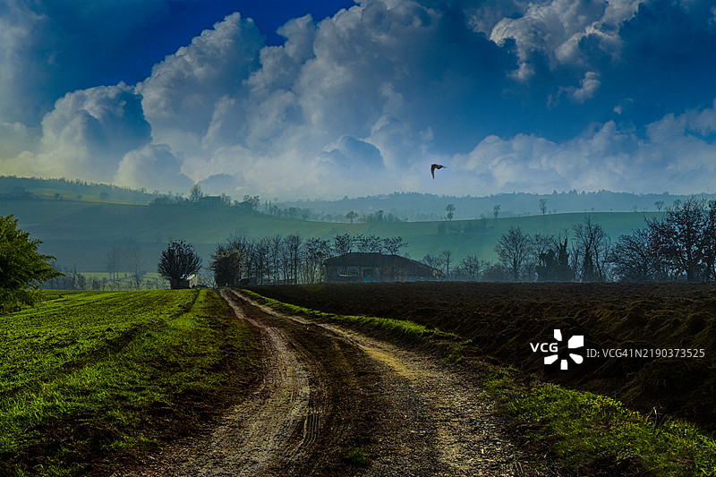 意大利皮埃蒙特大区亚历山德里亚省瓦尔马多纳的乡村风景中的土路图片素材