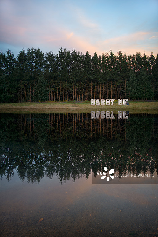 男子在湖边松树旁的“嫁给我”标志旁蹲坐，位于美国。图片素材