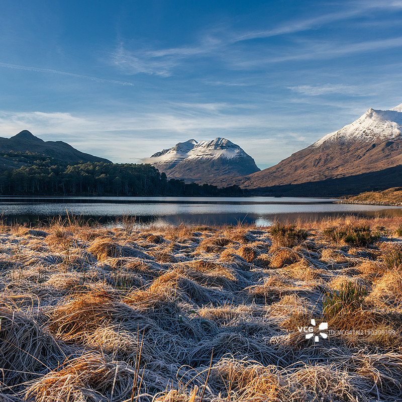 洛克克莱尔湖前的冰冻芦苇，托里登，苏格兰高地。背景是雪顶的贝恩艾赫山。图片素材