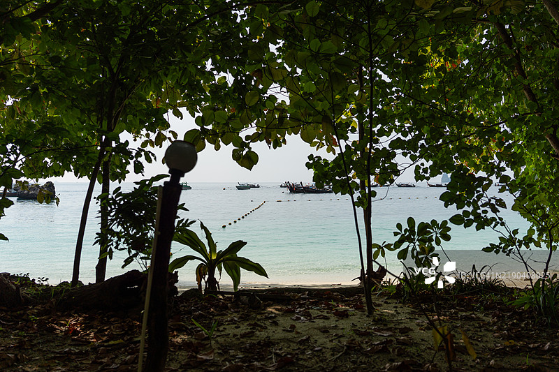 泰国郁郁葱葱的植被中透视出的热带海滩与传统船只图片素材