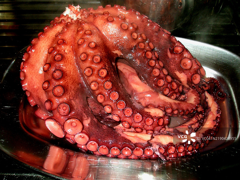 螃蟹特写镜头图片素材