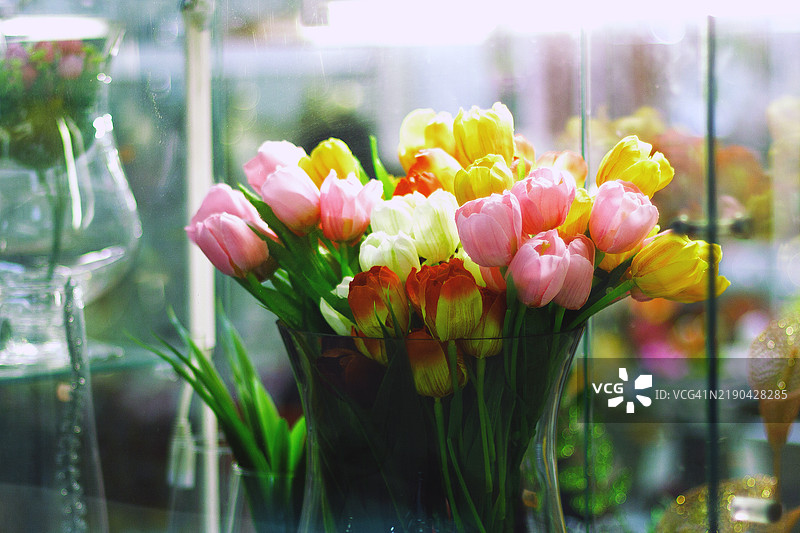 商店里的郁金香图片素材