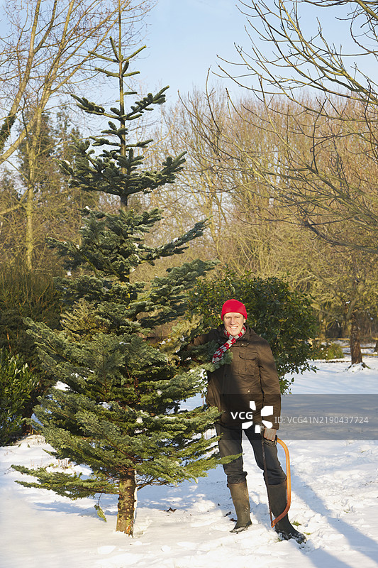 手持圣诞树和手锯的男人图片素材