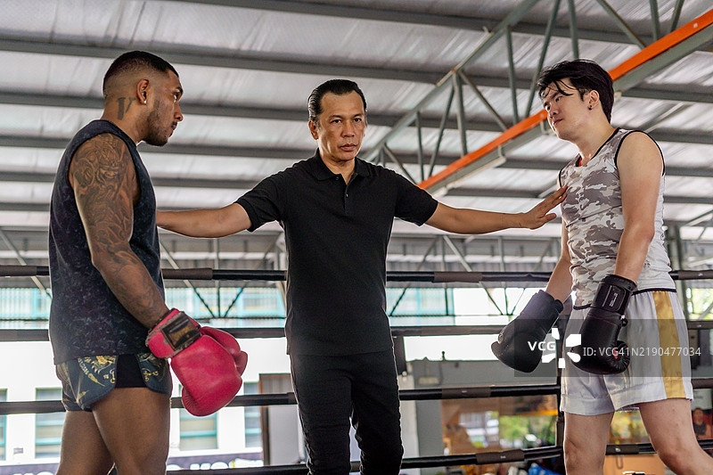 裁判在拳击场上开始比赛图片素材