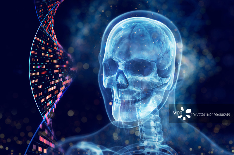 基因组分析DNA分子结构与人类图片素材