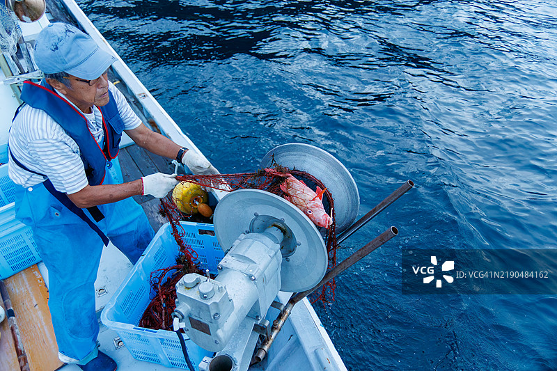 南伊豆的一位龙虾渔民正在用小渔船上安装的起重机拉起他前一晚设置的刺网。图片素材